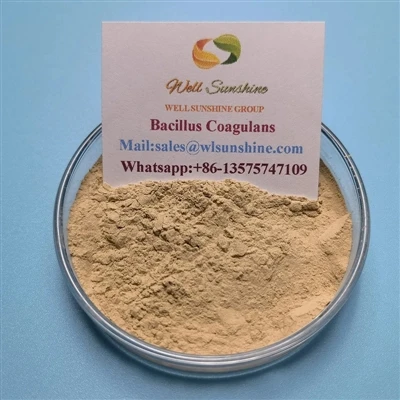 Τι είναι το Bacillus Coagulans;